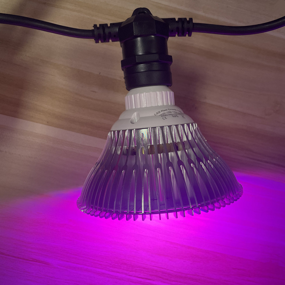 10M Cable LED String Commercia - Outdoor Lighting Diy ulasan dan harga